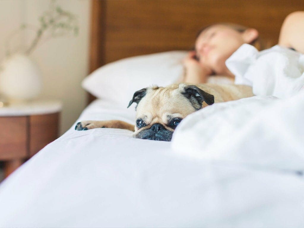 15 maneras de mantener tu casa fresca sin aire acondicionado 1 | Potspintura.com